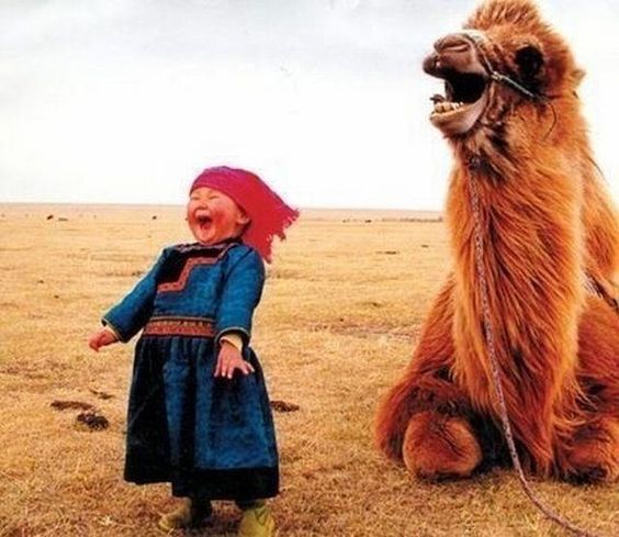 Girl and Llama Share a Laugh